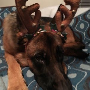 Meet your Posher, Kristen